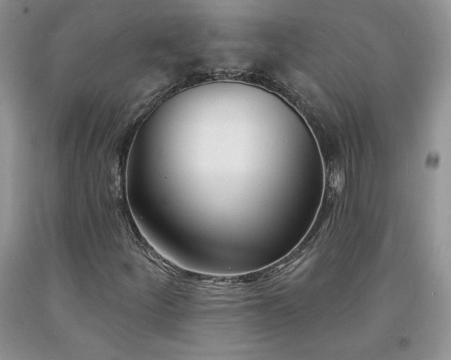 X0000094171252200710261101