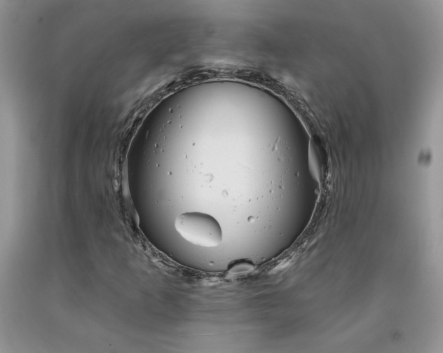 X0000094171253200710261101