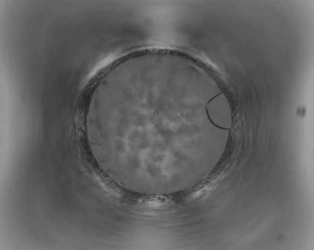 X0000094171255200710261101