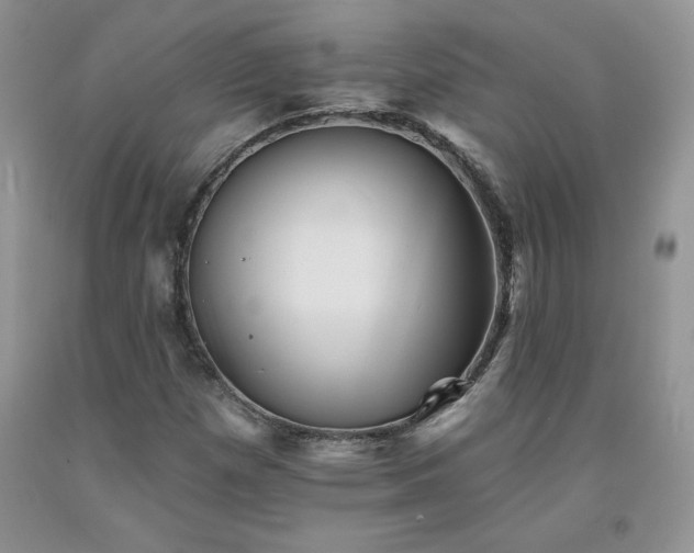 X0000094171257200710261101