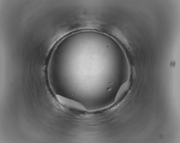 X0000094171260200710261100