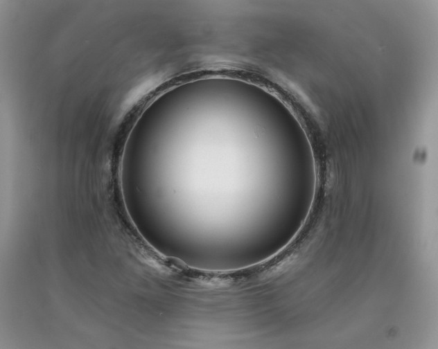 X0000094171261200710261100