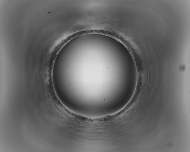 X0000094171262200710261100