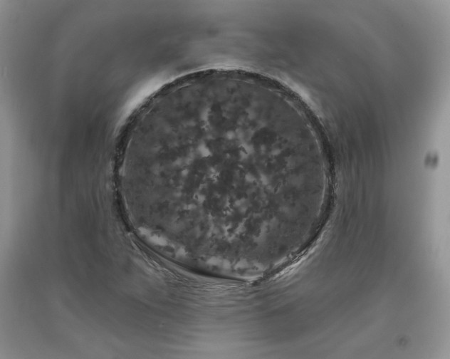 X0000094171263200710261100