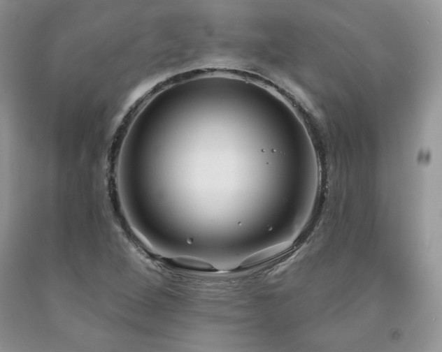 X0000094171264200710261100