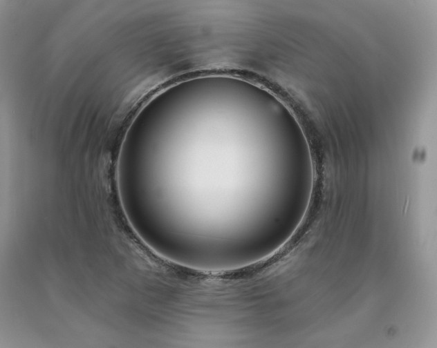 X0000094171265200710261100