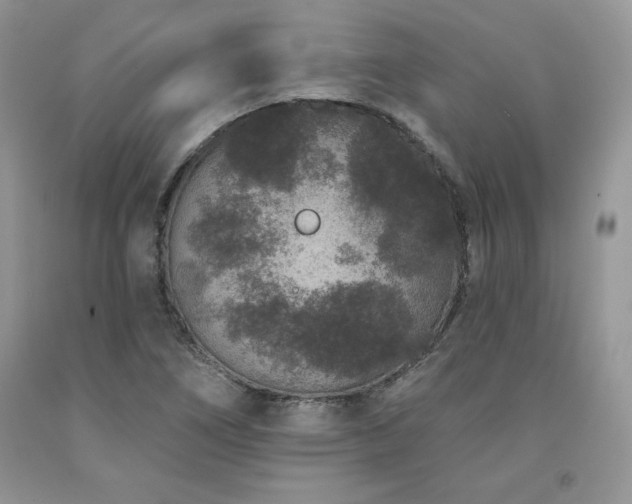X0000094171266200710261100