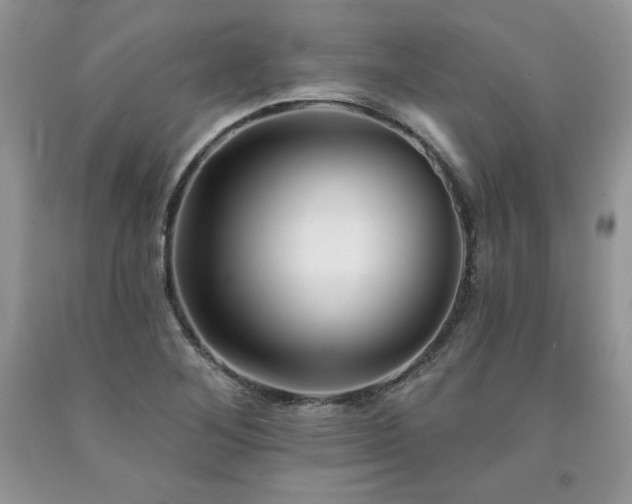 X0000094171268200710261100