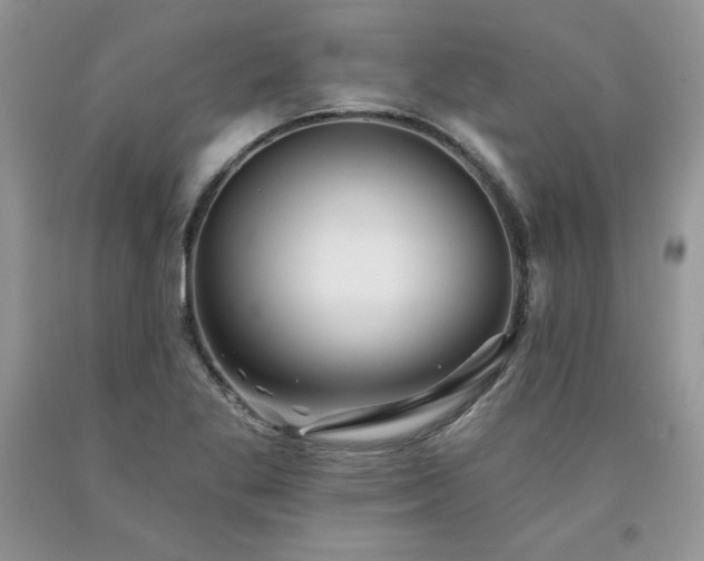X0000094171269200710261100
