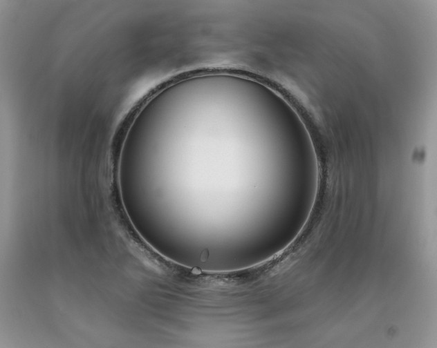 X0000094171270200710261100