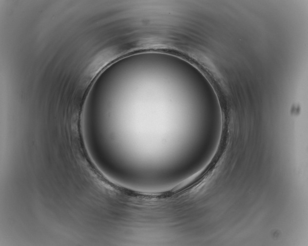 X0000094171273200710261100