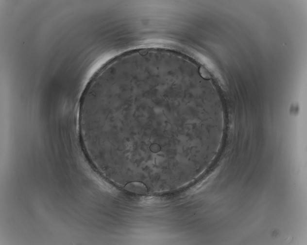 X0000094171275200710261100