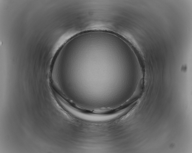 X0000094171277200710261100