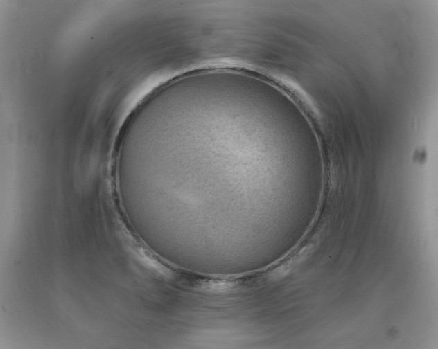 X0000094171278200710261100