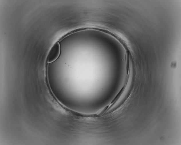 X0000094171280200710261100