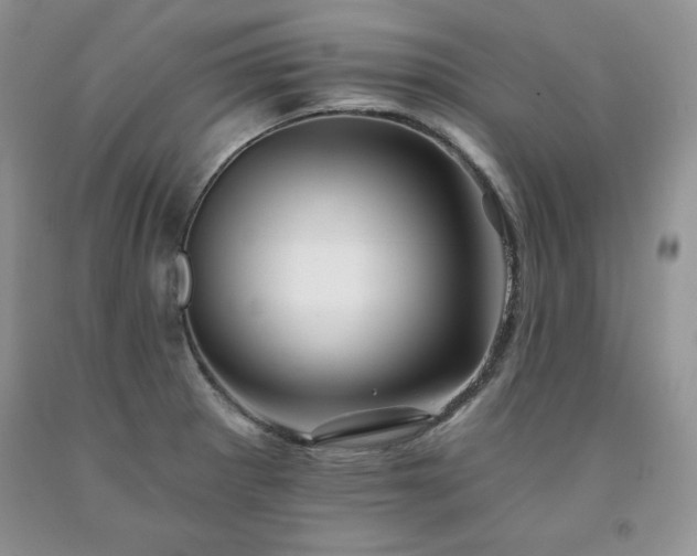 X0000094171281200710261100