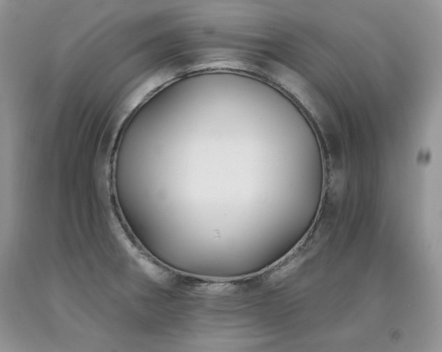 X0000094171282200710261100
