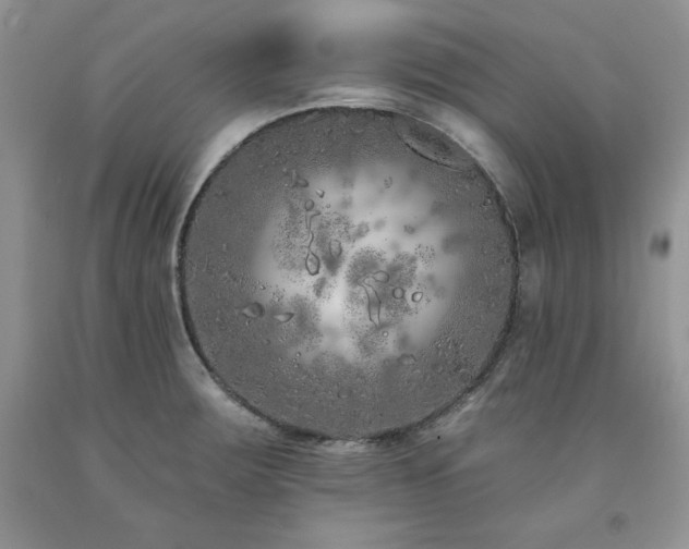 X0000094171283200710261100