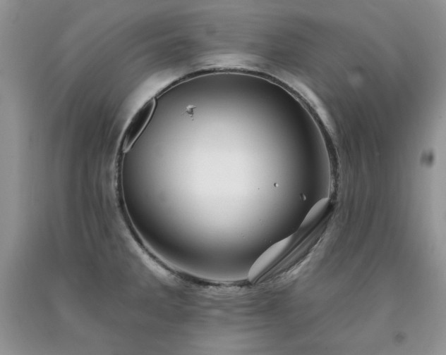 X0000094171285200710261100