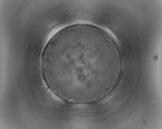 X0000094171287200710261100