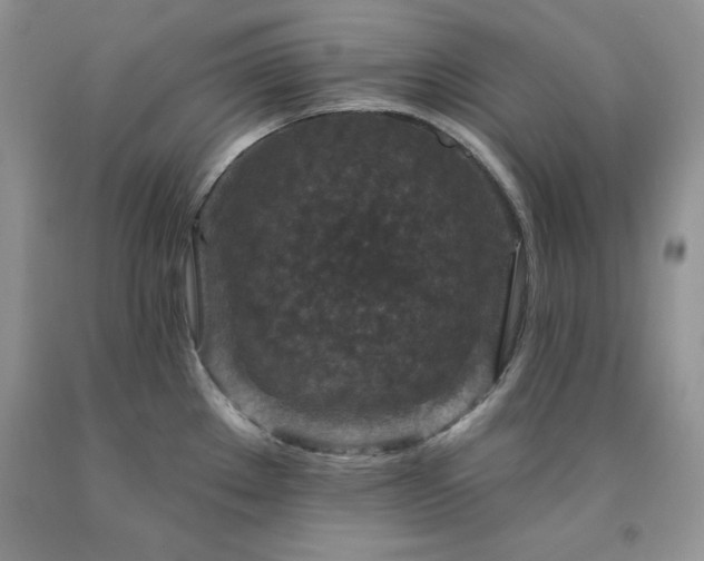 X0000094171289200710261100