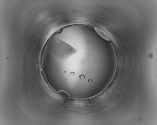 X0000094171291200710261100
