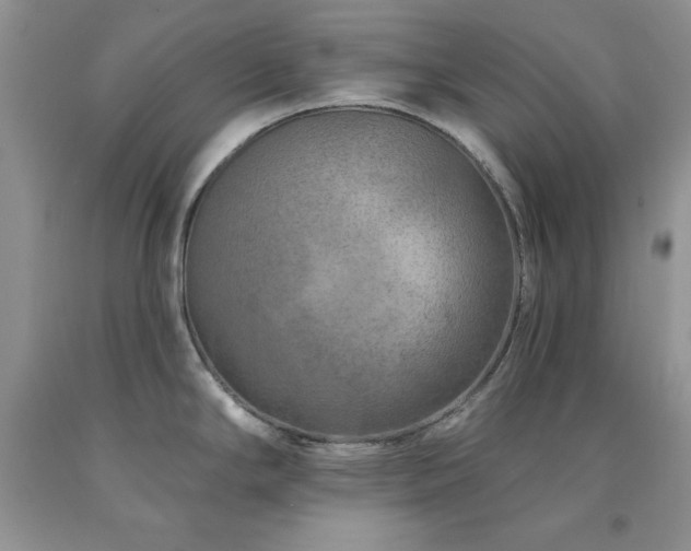 X0000094171294200710261100