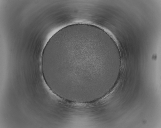 X0000094171295200710261100