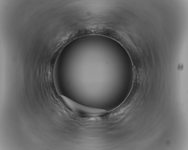 X0000094171298200710261059