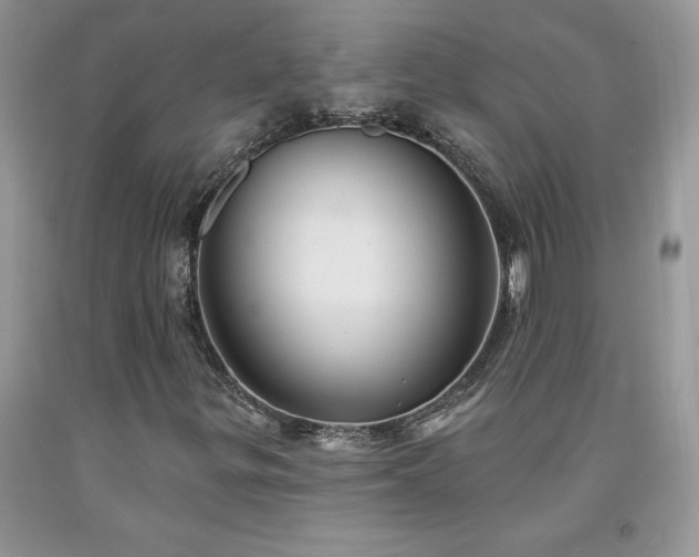 X0000094171299200710261059