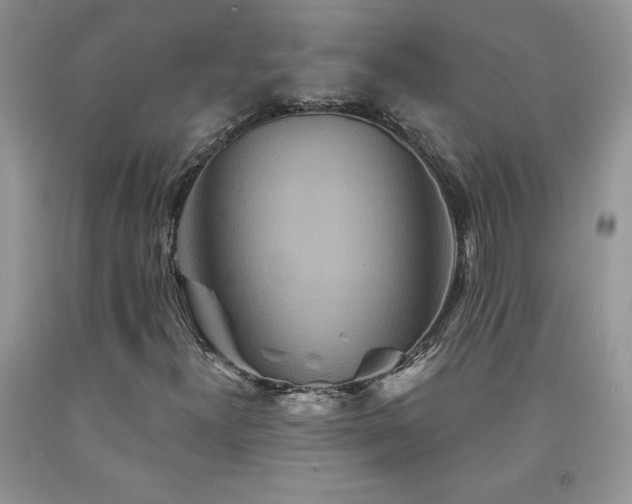 X0000094171300200710261059