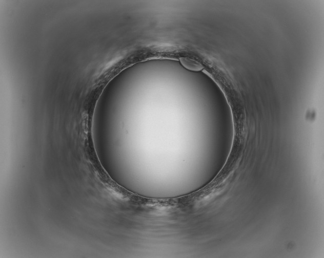 X0000094171301200710261059
