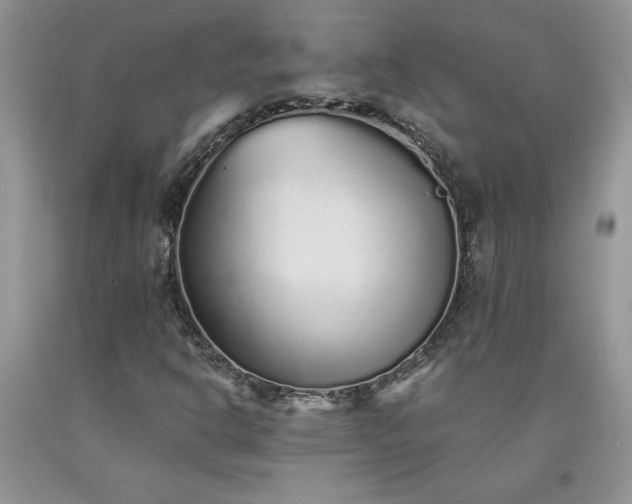 X0000094171302200710261059