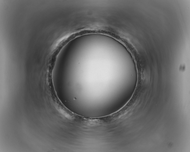 X0000094171304200710261059