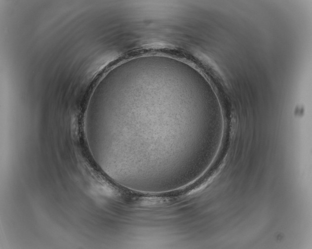 X0000094171305200710261059