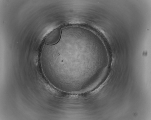 X0000094171306200710261059
