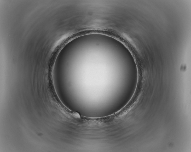 X0000094171307200710261059