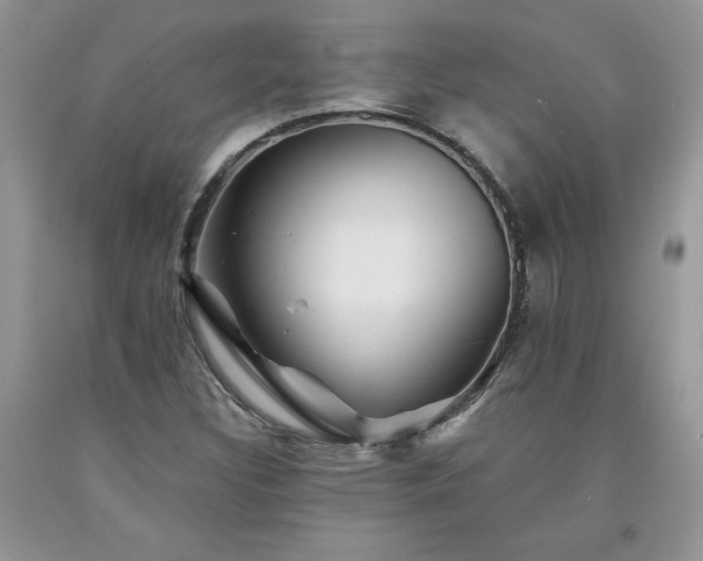 X0000094171308200710261059