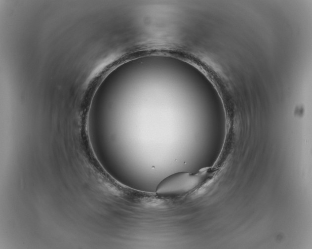 X0000094171309200710261059