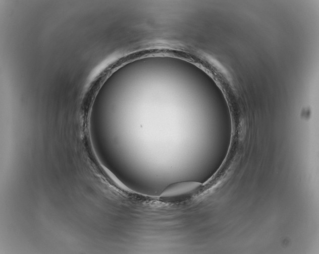 X0000094171310200710261059