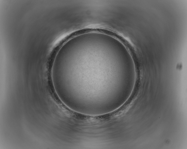 X0000094171311200710261100