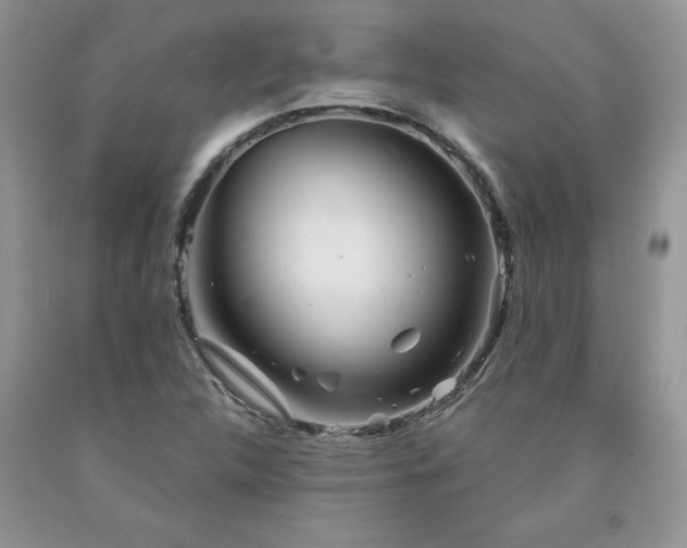 X0000094171312200710261100