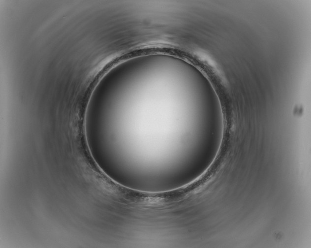 X0000094171313200710261100