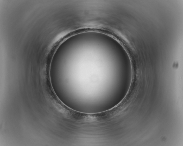X0000094171315200710261100