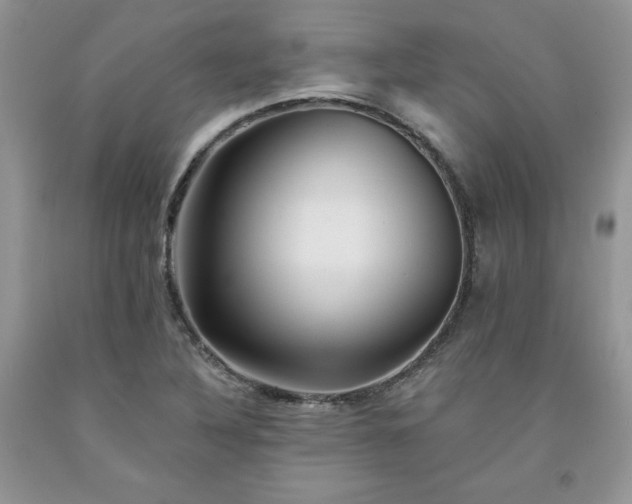 X0000094171316200710261100