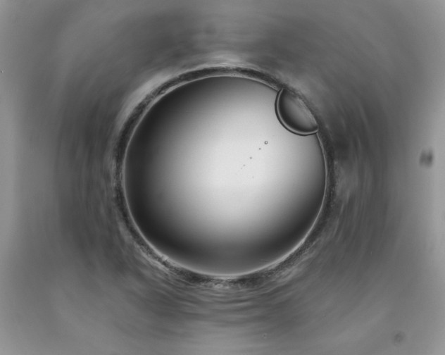 X0000094171318200710261100