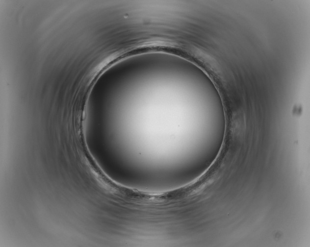 X0000094171321200710261100