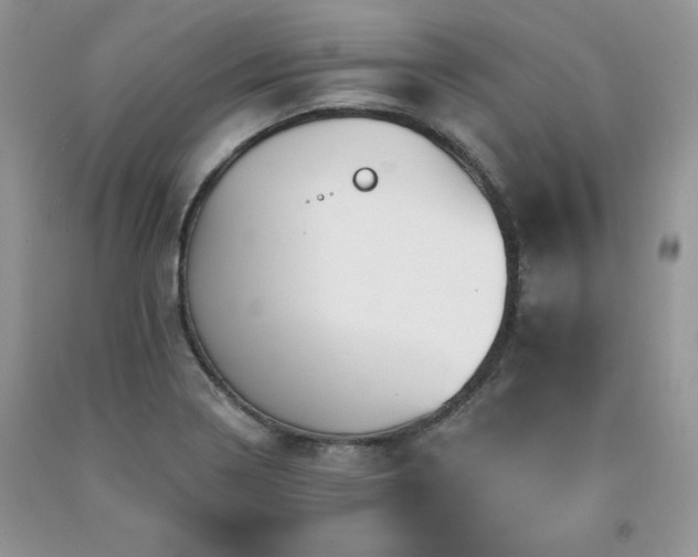 X0000094171322200710261100