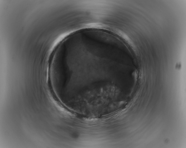 X0000094171323200710261100