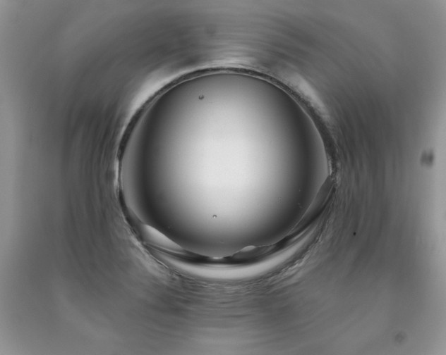 X0000094171324200710261100